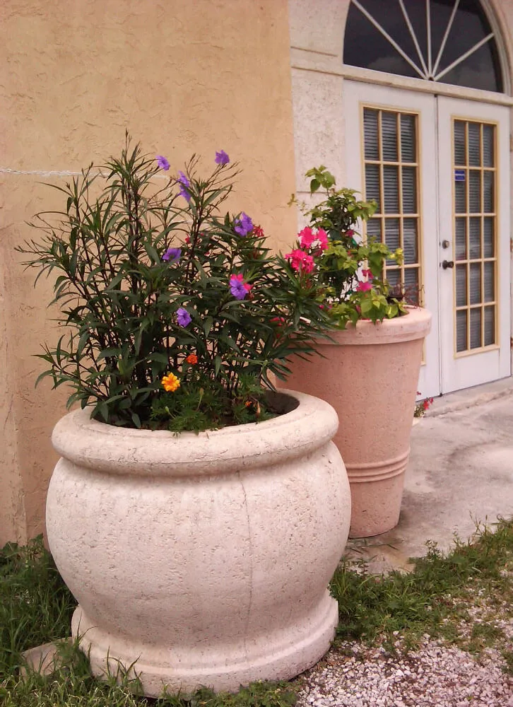Brighton and Holmes Pots